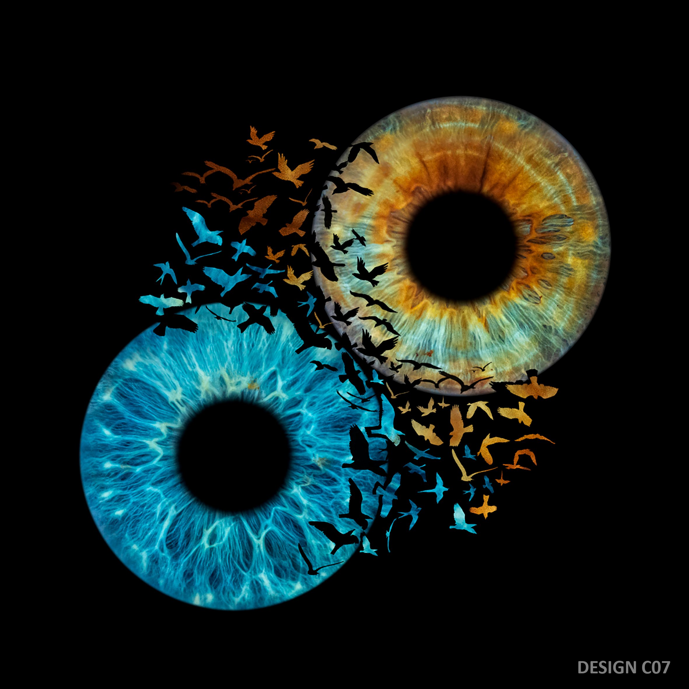 DESIGN C07