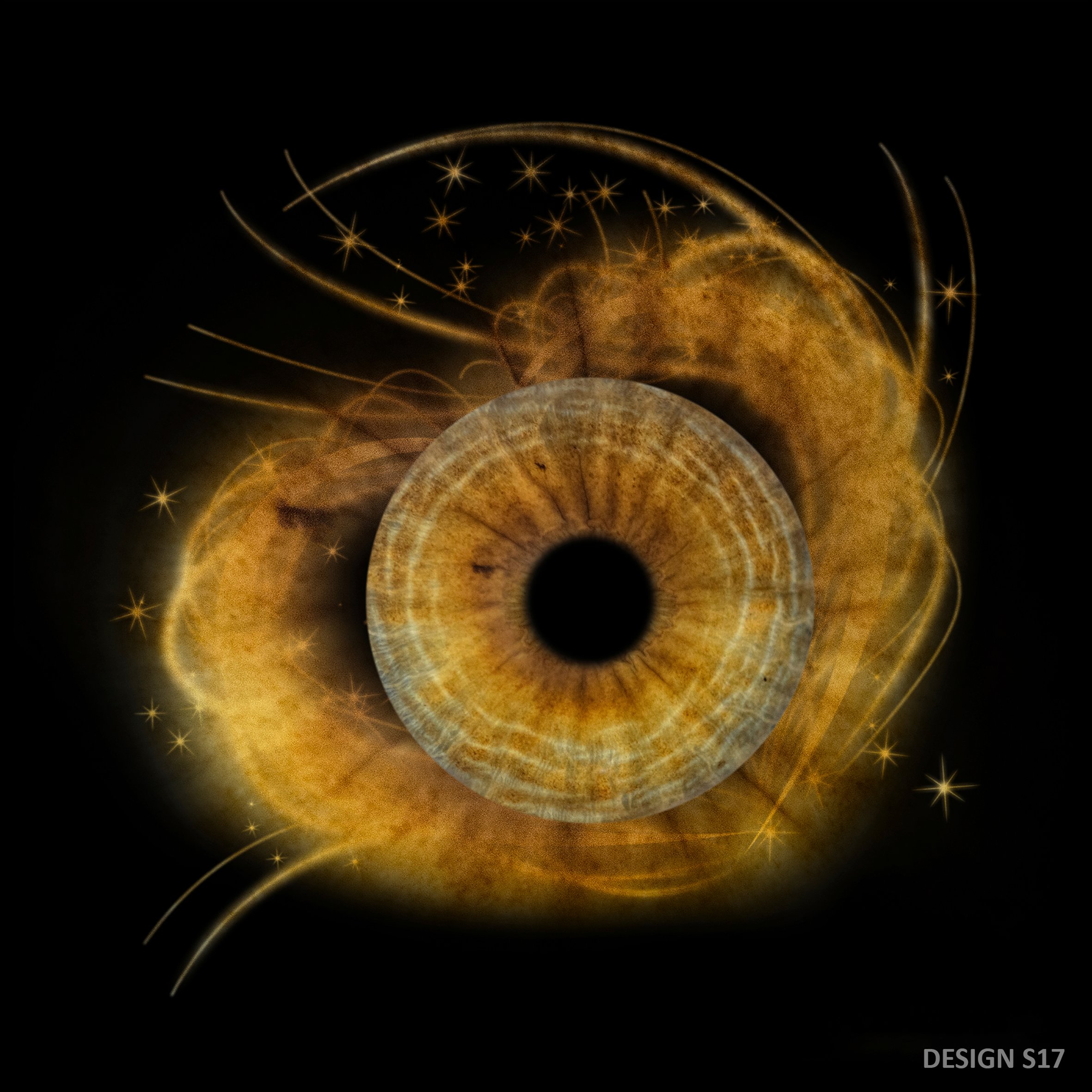 DESIGN S17